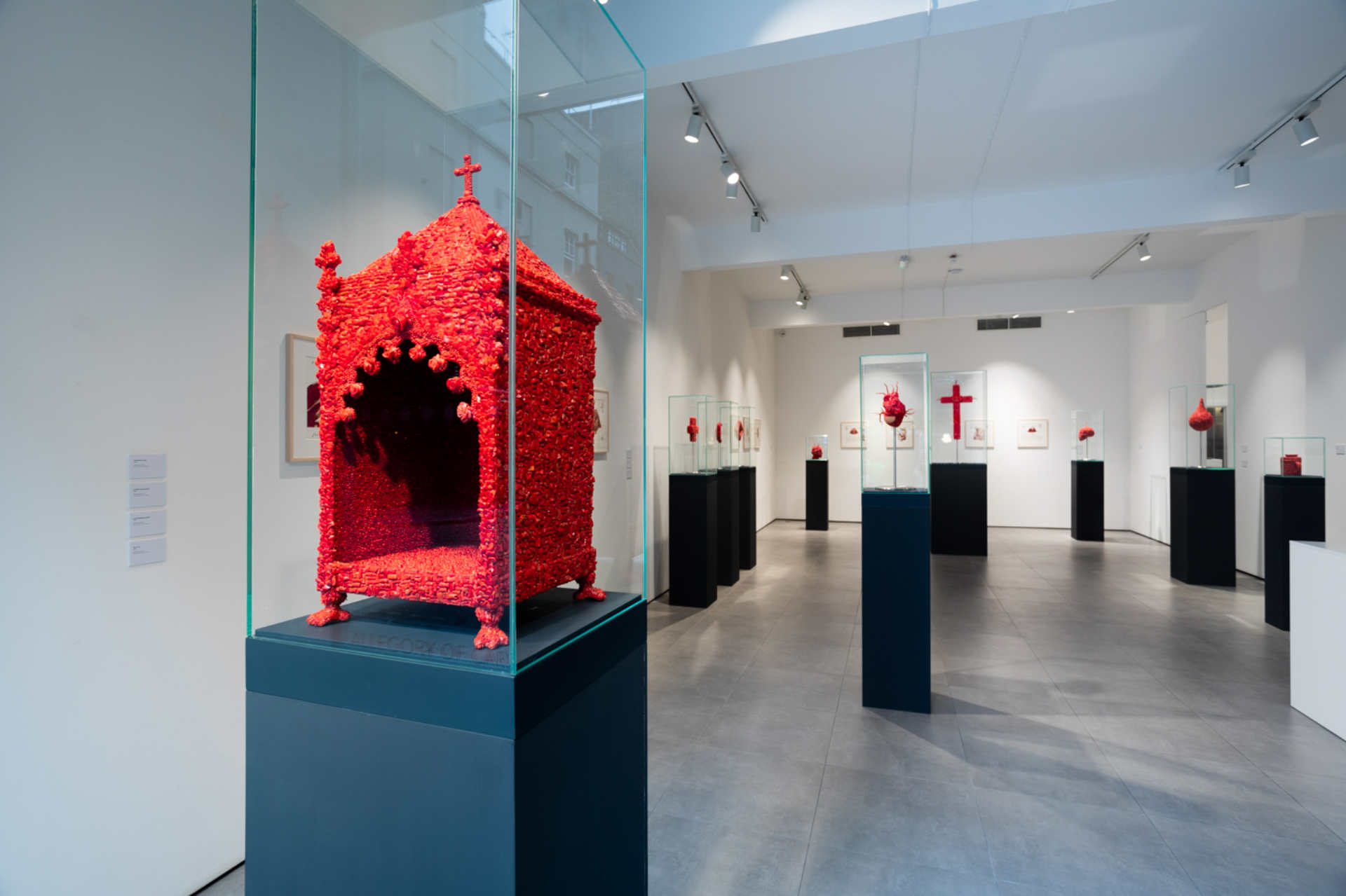 Jan Fabre, Mucciaccia Gallery London, installation