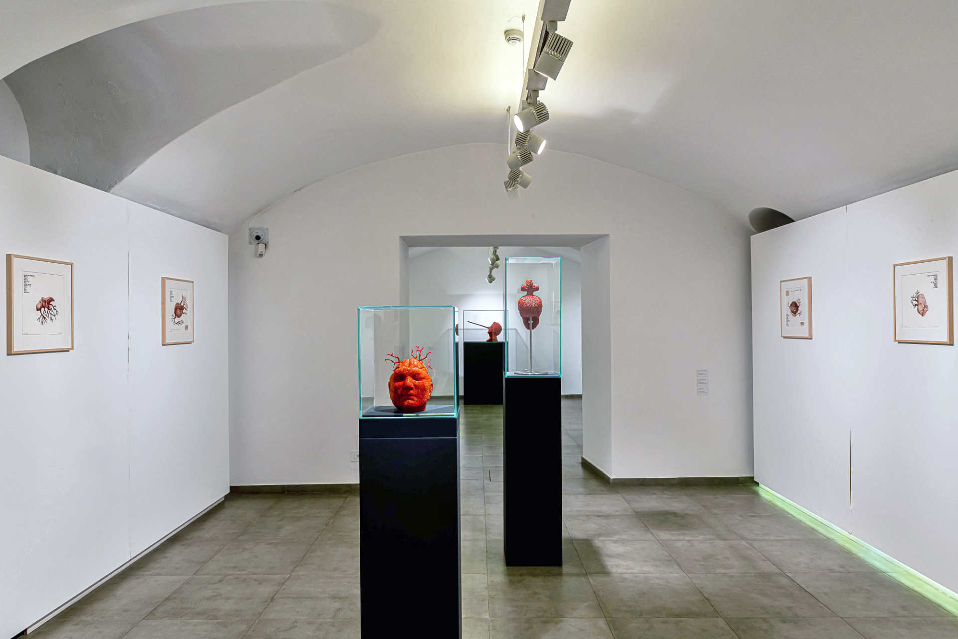 Jan Fabre, Galleria Mucciaccia Roma, installation