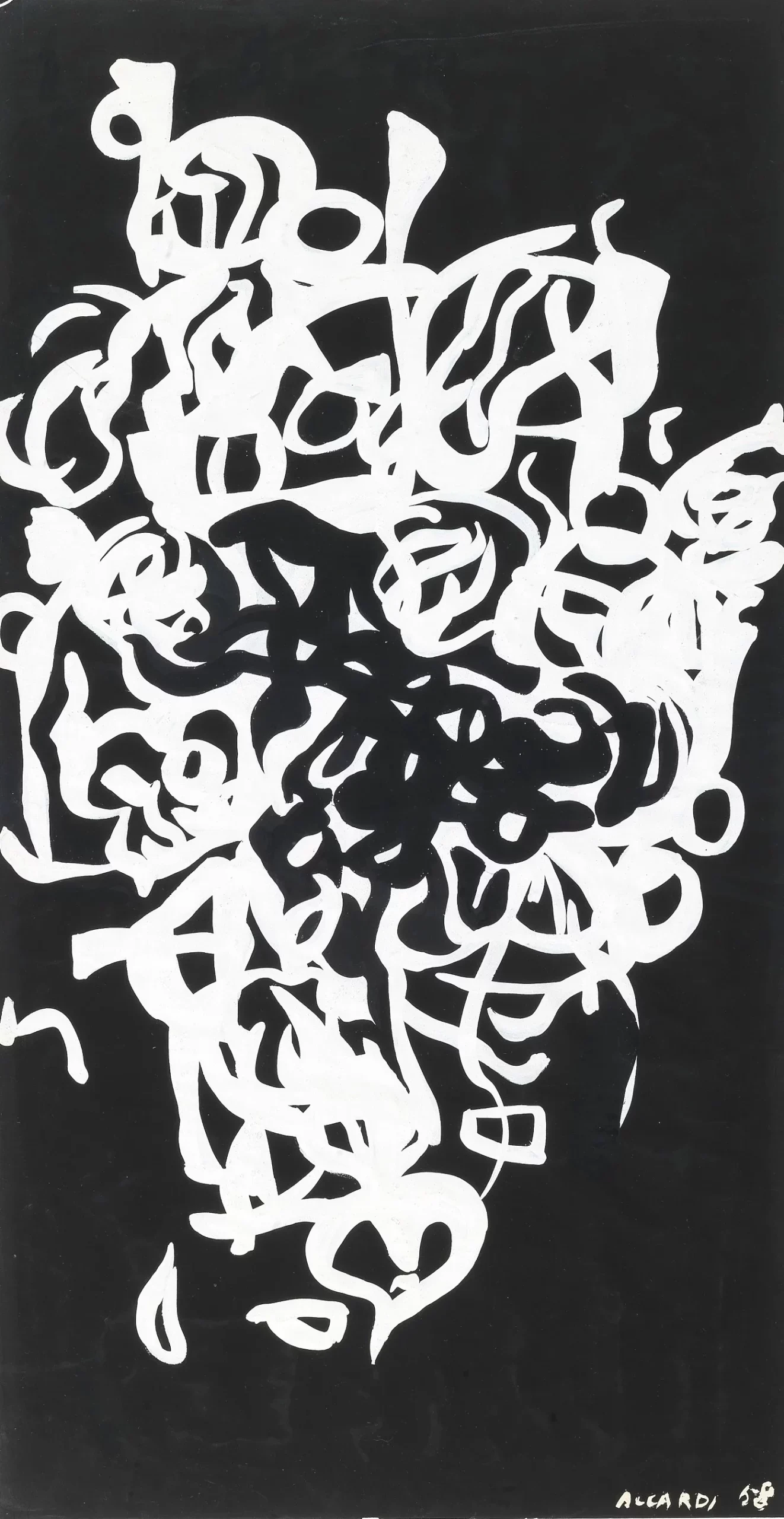 Summer Collection 2024