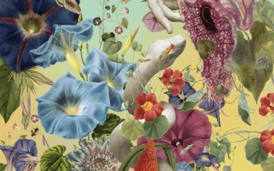 Beauty! A solo exhibition by Austin Young