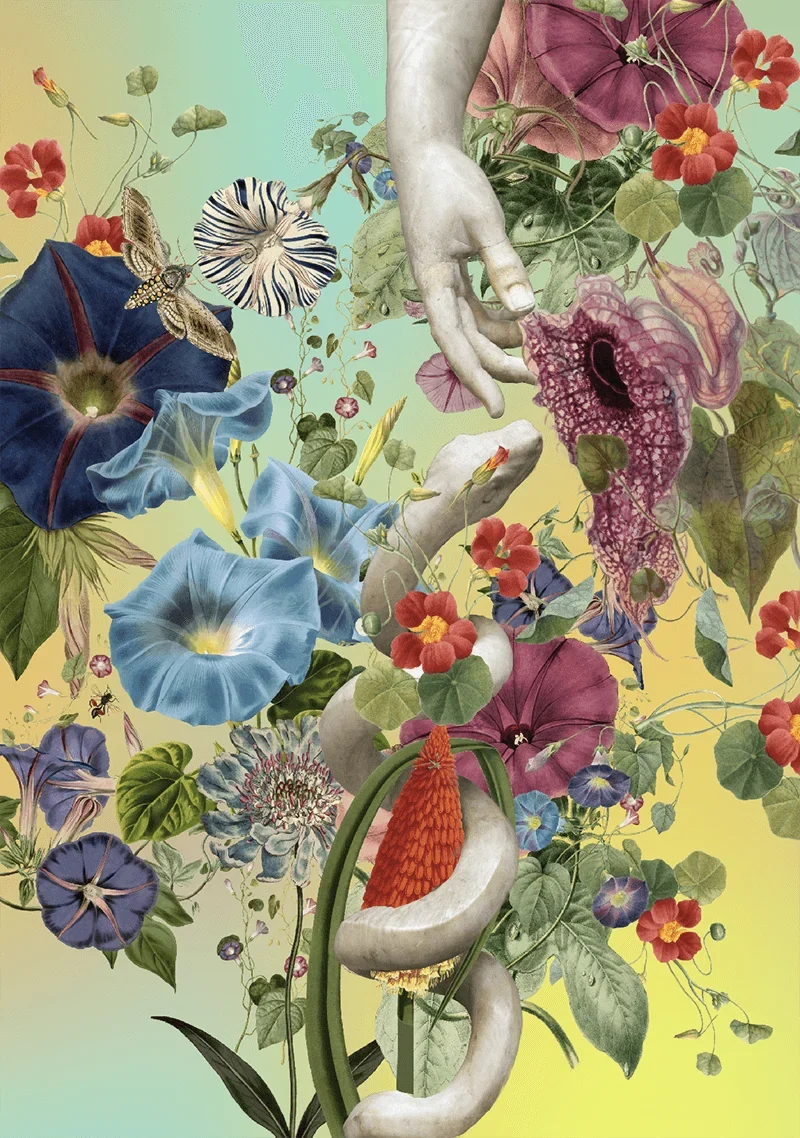Austin Young, The Garden, 2025, digital collage on watercolor paper, 70 x 100 cm PNG Austin Young, The Garden, 2025, digital collage on watercolor paper, 70 x 100 cm